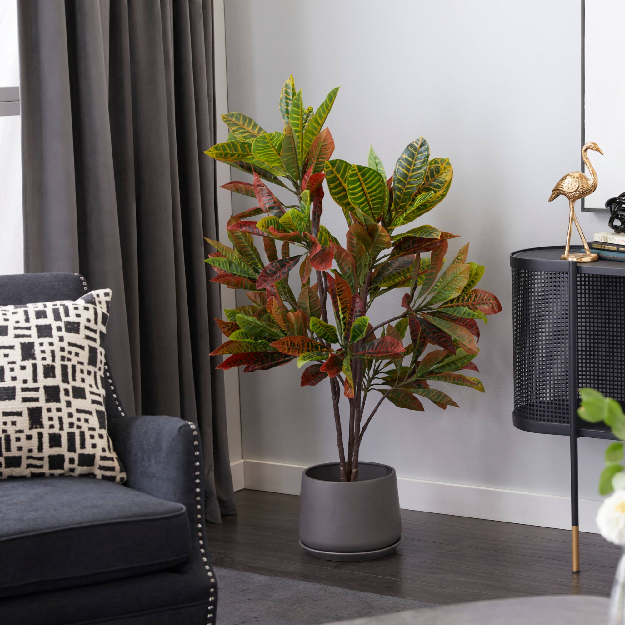 46" Potted Croton Shrub Tree